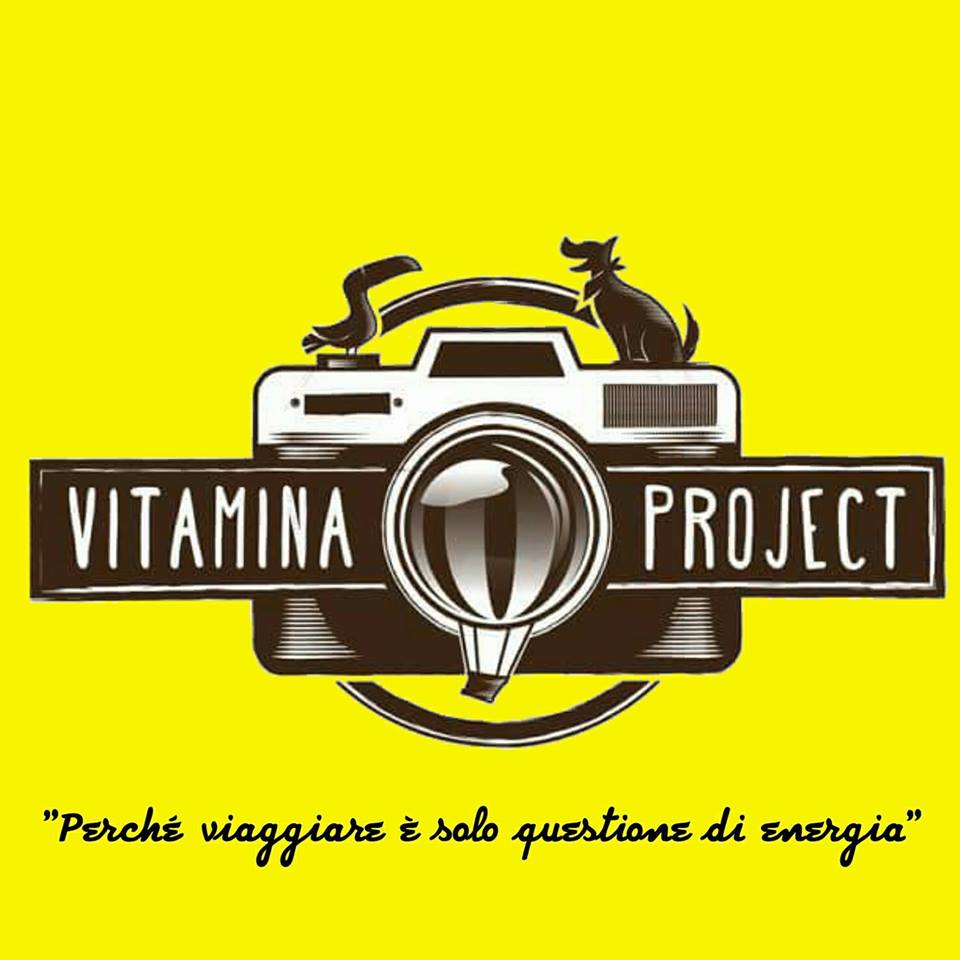 logo vitamina project